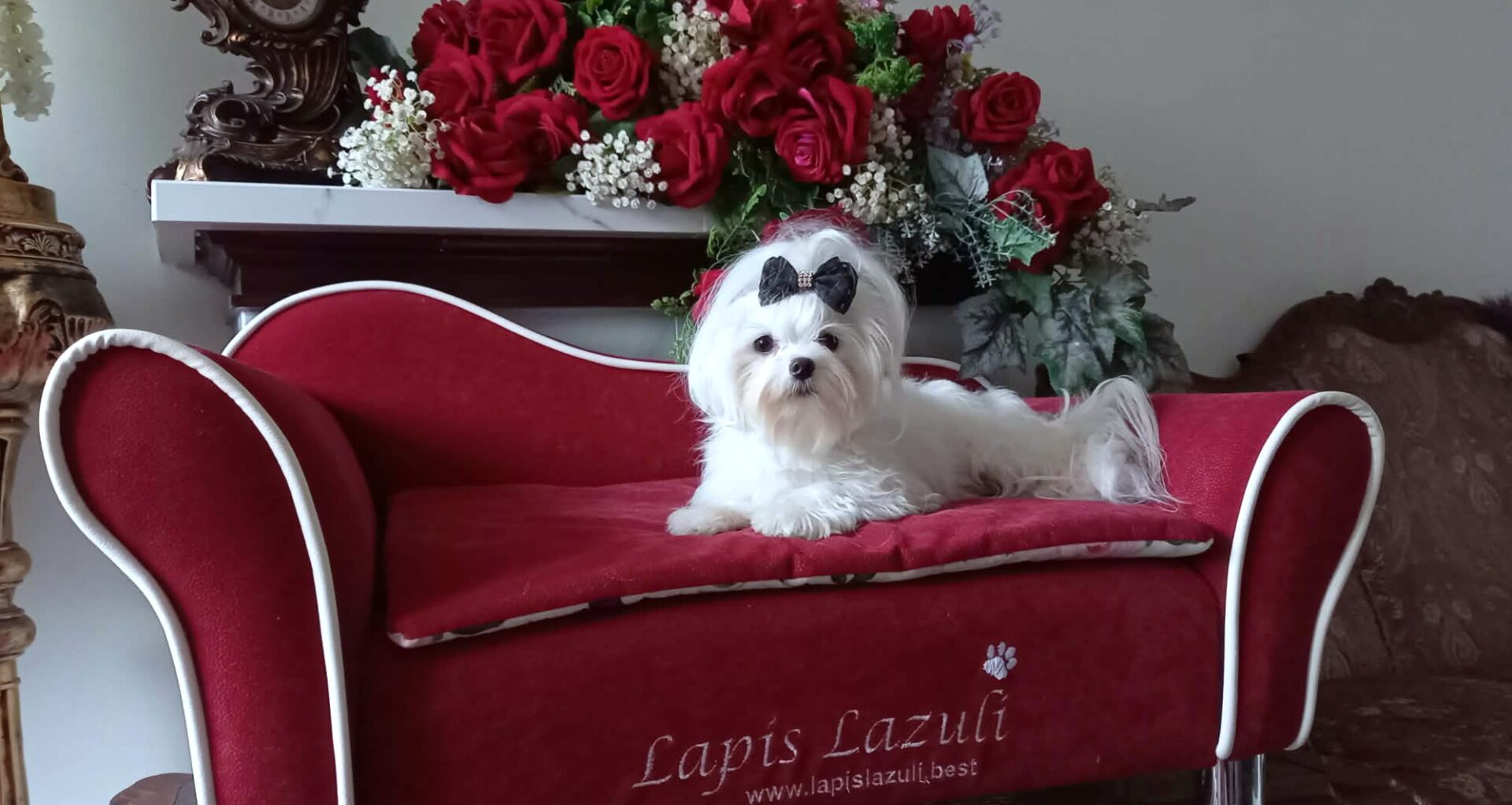 Loreley Excelleent Lapis Lazuli